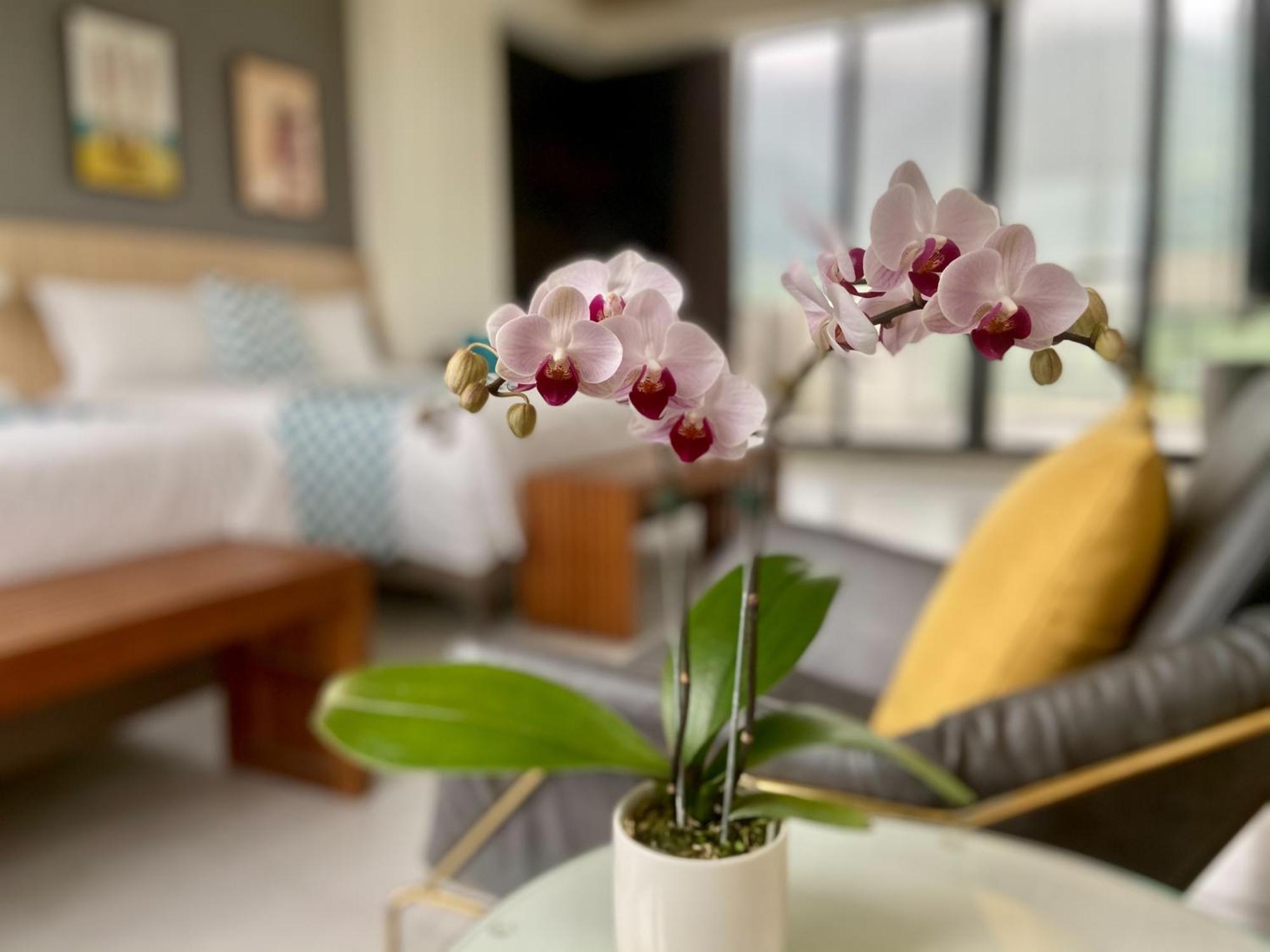 Follow The Cloud B&B Jialin Номер фото